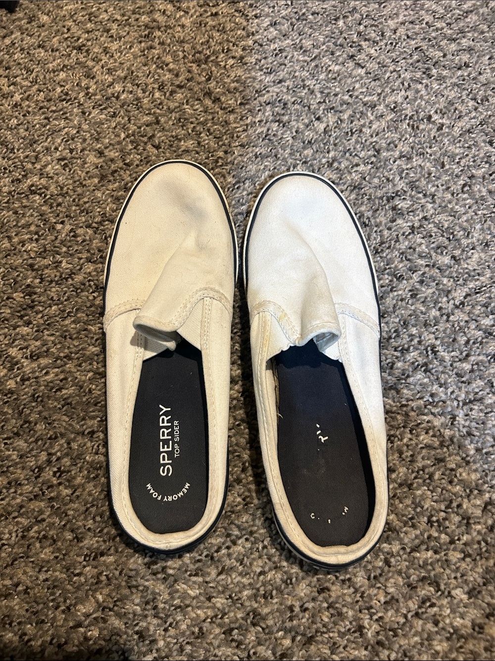 Sperry Off-White Canvas Slip-On Sneakers with Black Insoles